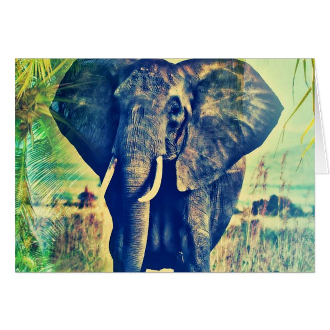 Elephant Palms (Voorkant Horizontaal)