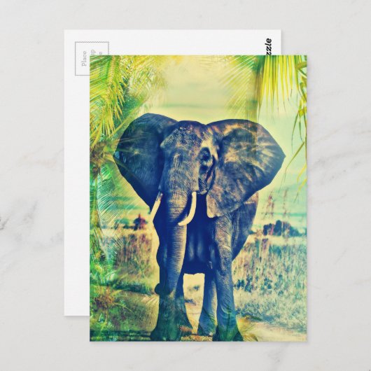 Elephant Palms Briefkaart (Voorkant / Achterkant)