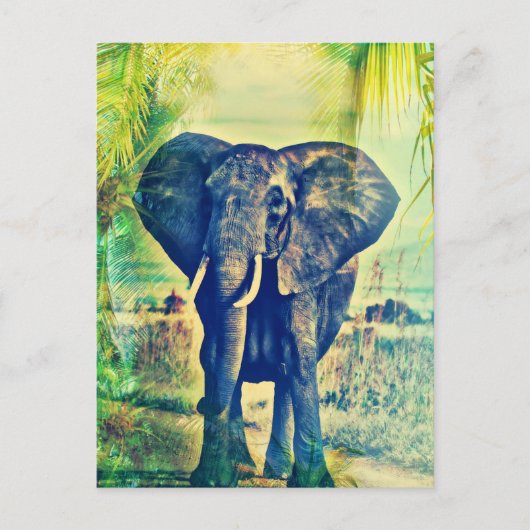 Elephant Palms Briefkaart (Voorkant)
