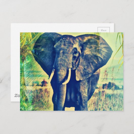 Elephant Palms Briefkaart (Voorkant / Achterkant)