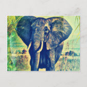 Elephant Palms Briefkaart (Voorkant)