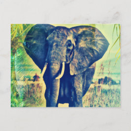 Elephant Palms Briefkaart