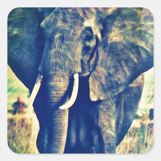 Elephant Palms Vierkante Sticker (Voorkant)