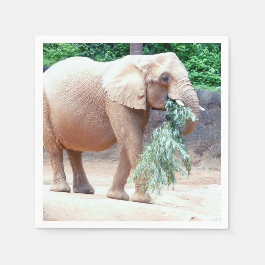 Elephant paper napkins servet (Voorkant)