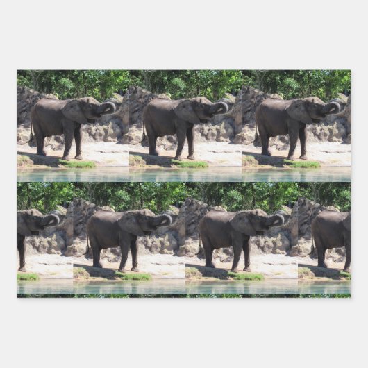 Elephant - Papier voor onmiddellijke verpakking Inpakpapier Vel (Voorkant)