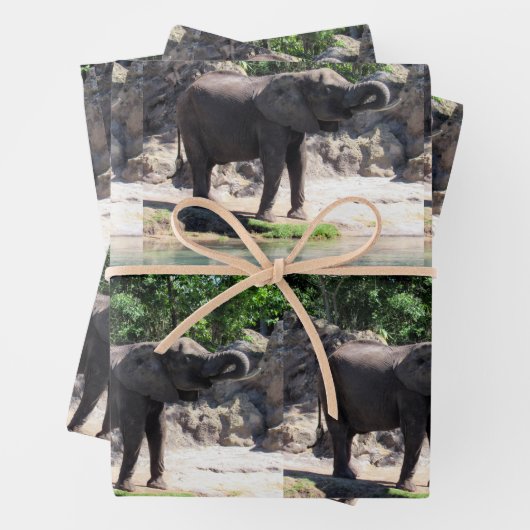 Elephant - Papier voor onmiddellijke verpakking Inpakpapier Vel (In situ)