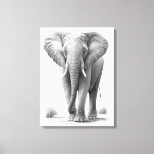 Elephant Pencil Tekening Canvas Afdruk