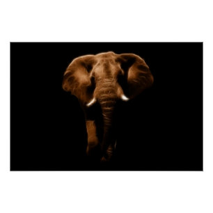 Elephant Perfect Poster
