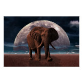 Elephant Perfect Poster (Voorkant)