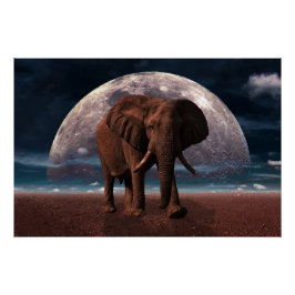 Elephant Perfect Poster
