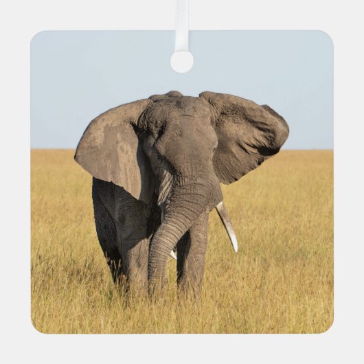 Elephant Persoonlijke naam Kerstmis Metalen Ornament (Voorkant)