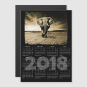 Elephant Photo 2018 Calendar Magnetic Card (Voorkant / Achterkant)