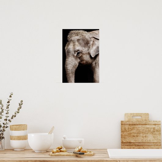 Elephant Photo Afbeelding Poster (Keuken)