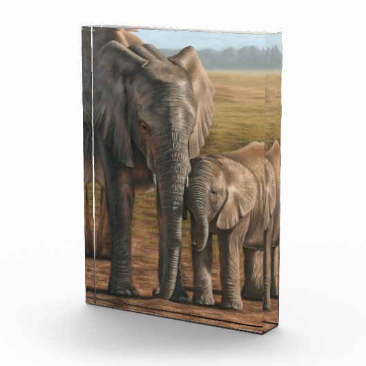 Elephant Photo Block Fotoblokken (Rechts)