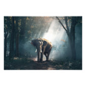 Elephant Photo Print Foto Afdruk (Voorkant)