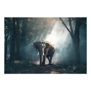 Elephant Photo Print Foto Afdruk