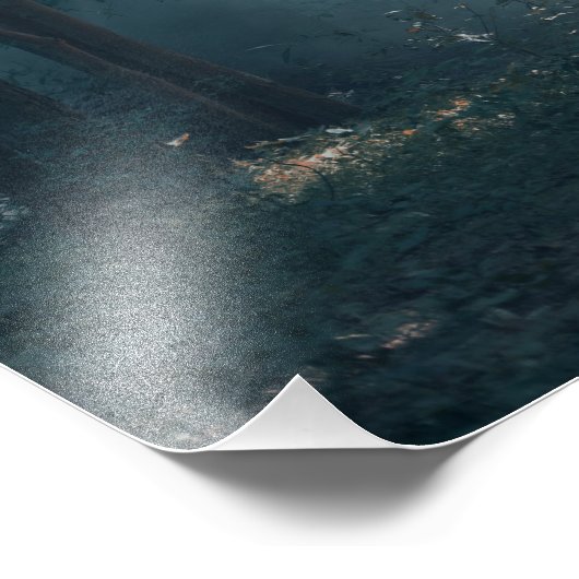 Elephant Photo Print Foto Afdruk (Hoek)