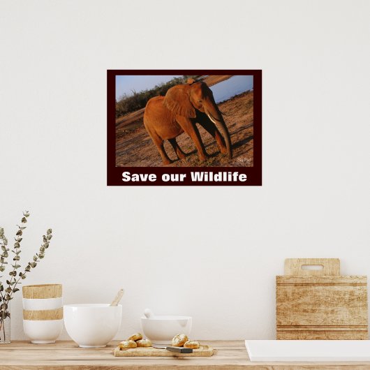 Elephant Photo Save Our Willife Poster (Keuken)