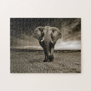 Elephant Photo Wildlife Bull Legpuzzel