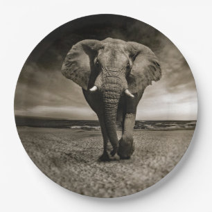 Elephant Photo Wildlife Bull Papieren Bordje