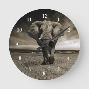 Elephant Photo Wildlife Bull Ronde Klok