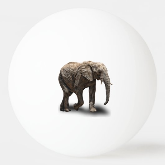 ELEPHANT PINGPONGBAL (Voorkant)