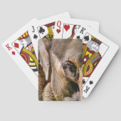 ELEPHANT POKERKAARTEN (Achterkant)