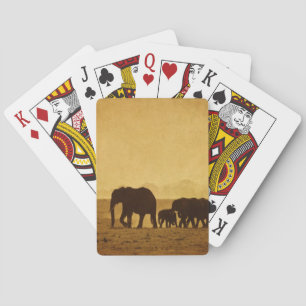Elephant Pokerkaarten