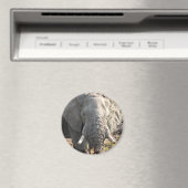 Elephant Pop Art Magneet (Insitu (Vaatwasser))