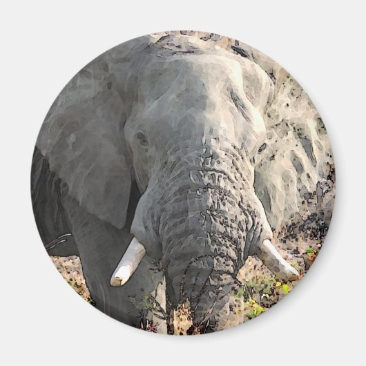 Elephant Pop Art Magneet (Voorkant)