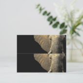 Elephant Portrait Book marker Briefkaart (Staand voorkant)