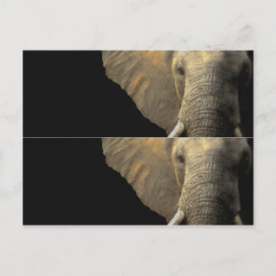 Elephant Portrait Book marker Briefkaart
