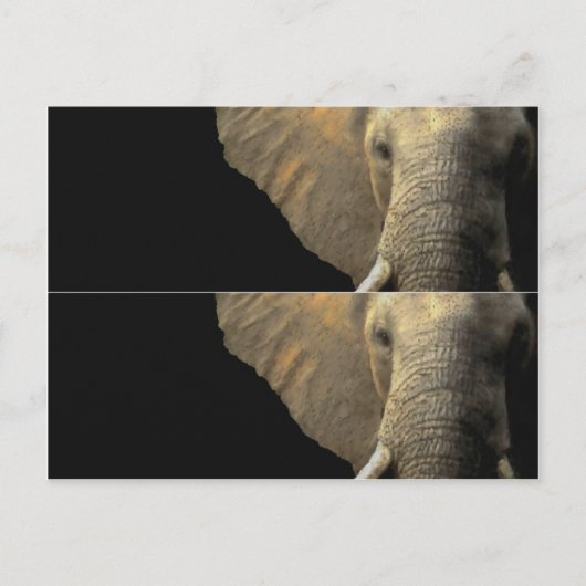 Elephant Portrait Book marker Briefkaart (Voorkant)