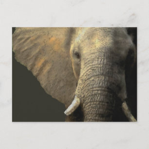 Elephant Portrait Briefkaart