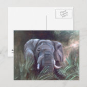 Elephant Portrait Briefkaart (Voorkant / Achterkant)