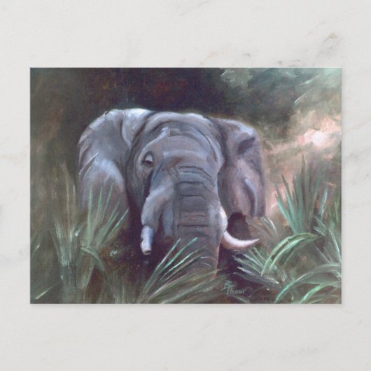 Elephant Portrait Briefkaart (Voorkant)