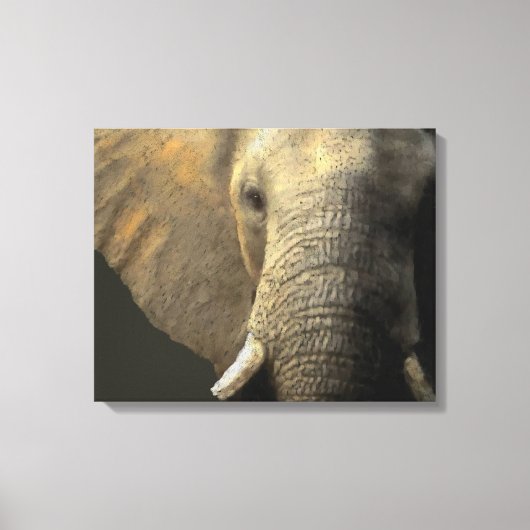Elephant Portrait Canvas Afdruk (Voorkant)