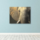 Elephant Portrait Canvas Afdruk (Insitu (Houten vloer))