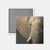 Elephant Portrait Magneet (Voorkant / Achterkant)