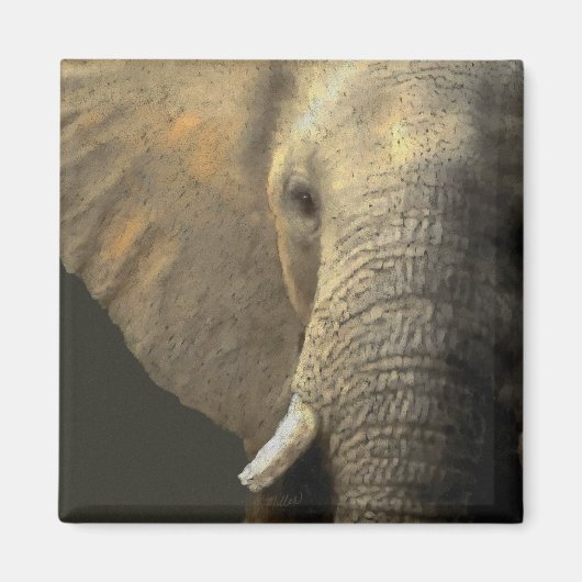 Elephant Portrait Magneet (Voorkant)