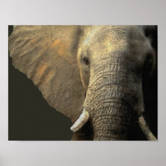 Elephant Portrait Poster (Voorkant)