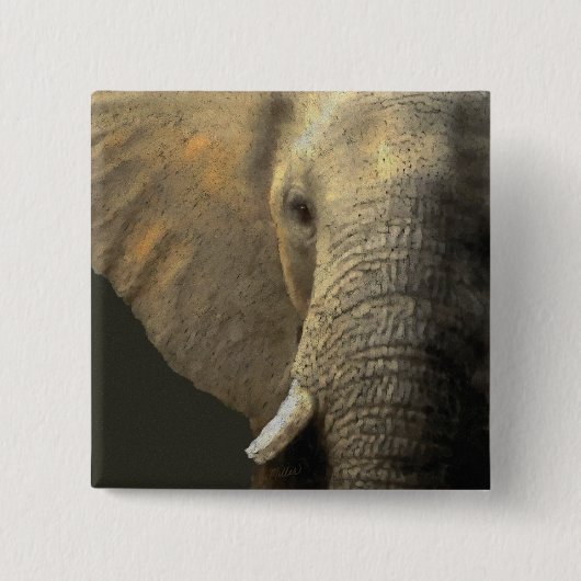 Elephant Portrait Vierkante Button 5,1 Cm (Voorkant)