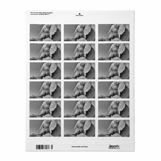 Elephant portret etiket (Full Sheet)