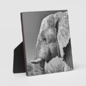 Elephant portret fotoplaat (Voorkant)