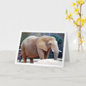 Elephant Portret Kaart (Gele Bloem)