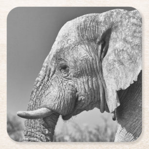 Elephant portret kartonnen onderzetters