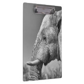 Elephant portret klembord (Rechts)