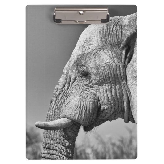Elephant portret klembord (Voorkant)