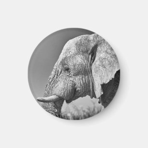 Elephant portret magneet