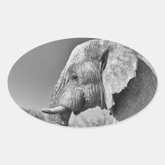 Elephant portret ovale sticker (Voorkant)